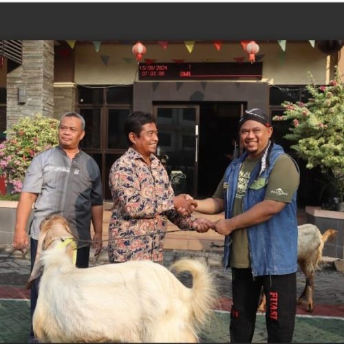 KOMITMEN KEPEDULIAN SOSIAL, UMAHA DAN YPM SALURKAN 69 HEWAN QURBAN